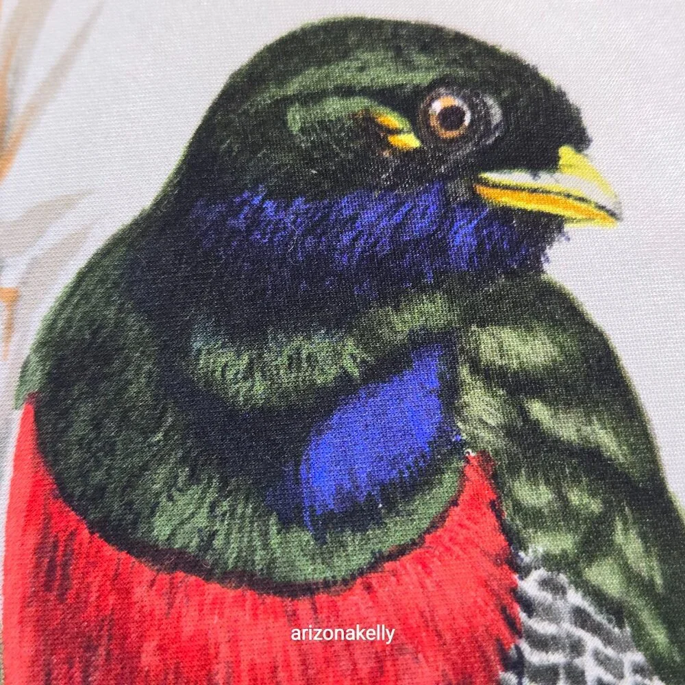 Vintage Silk Scarf Roland Ward Painted Birds Collectible